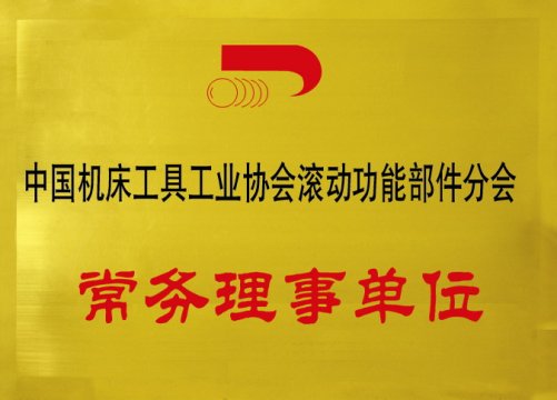 中國(guó)機(jī)床工具工業(yè)協(xié)會(huì)滾動(dòng)功能部件分會(huì)常務(wù)理事單位